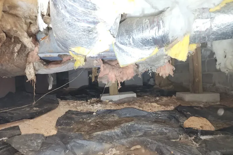 Vented crawl space with degraded insulation falling from floor joists and moisture damage — typical Wake County NC home