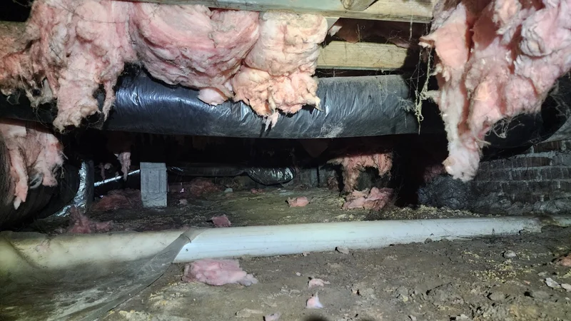 Damp crawl space with fallen insulation showing moisture damage — before dehumidifier install